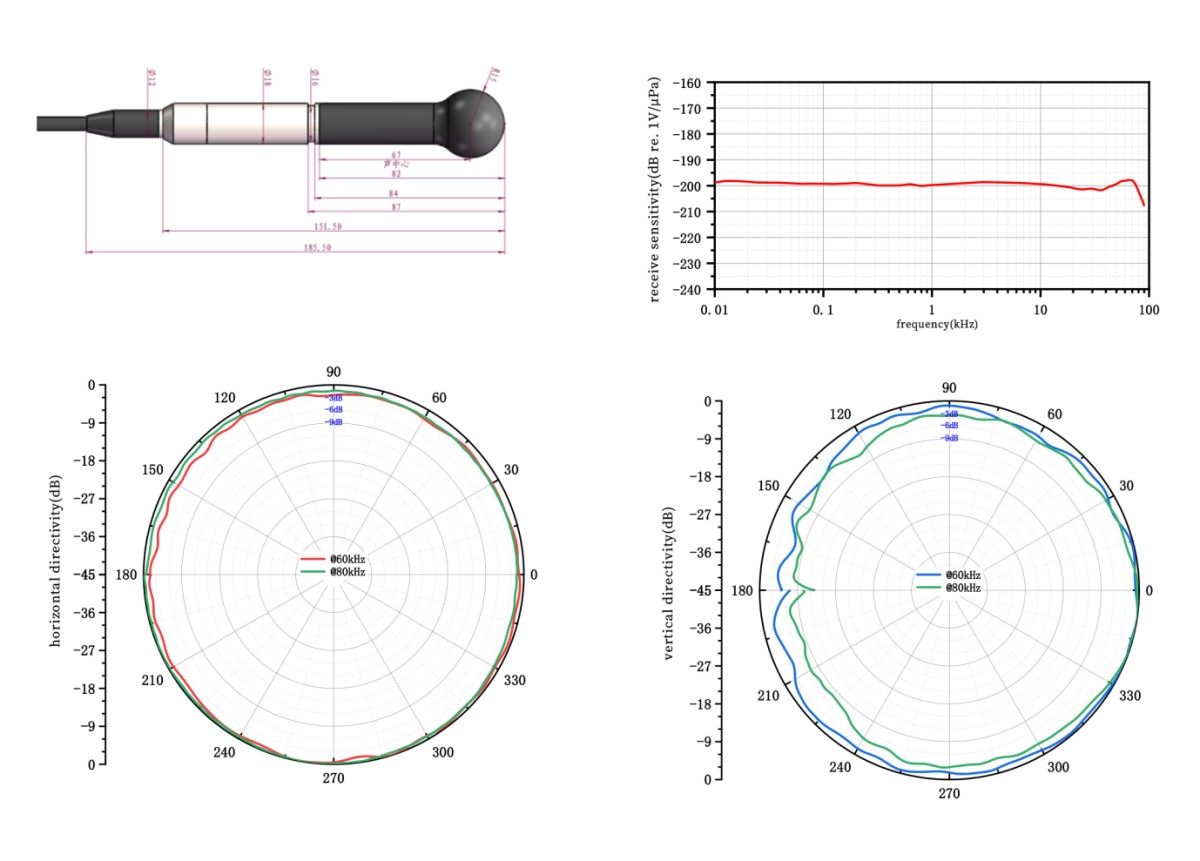 SPH6025 Broadband Spherical Hydrophone (2)